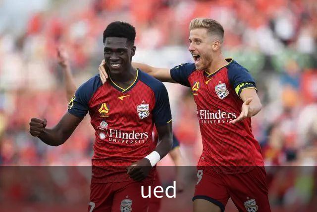 ued 公司介绍